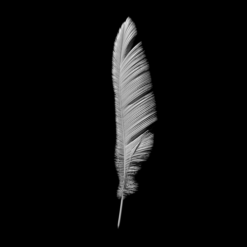 feather2