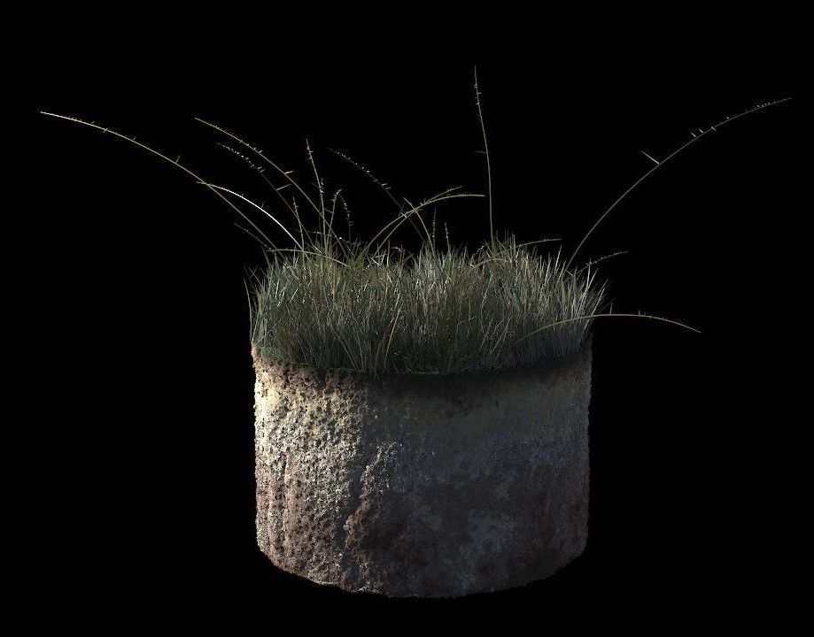 grass1