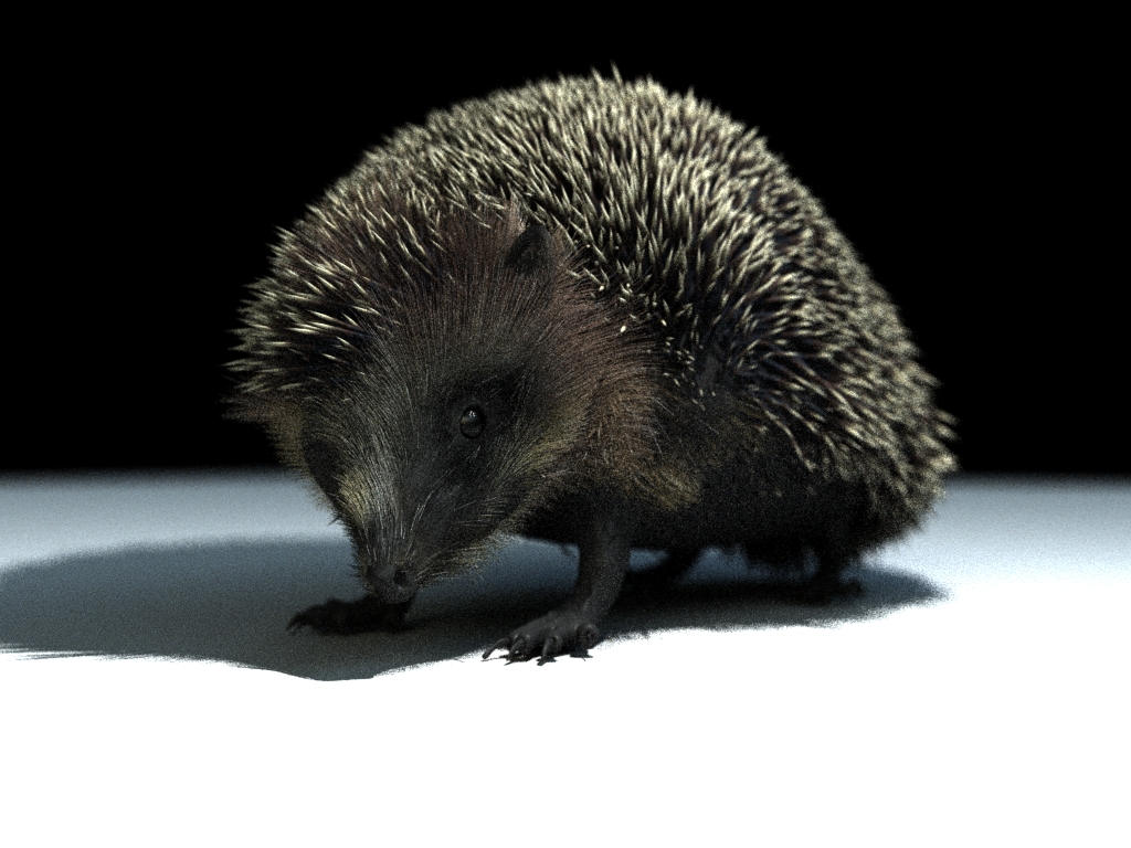 hedgehog