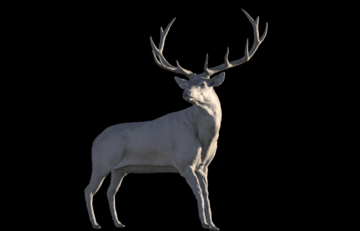 stag-2